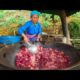 Forbidden Mountain Soup!! This Meat is BANNED in the USA!!! | TRIBAL VIETNAM EP7