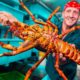 French Chef Prepares RARE Red Spiny LOBSTER 5 Ways!!