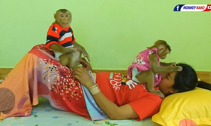Funny Animals | Smart Monkey Kako With Baby Luna Playing And Sleep Routine