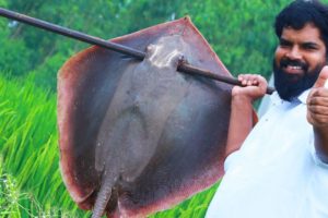 GIANT STINGRAY Fish Cooking | Monster SeaFood Stingray Fish biryani | Village style cooking