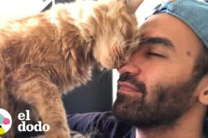 Gato y su papá tienen las conversaciones más tiernas I Almas Gemelas | El Dodo