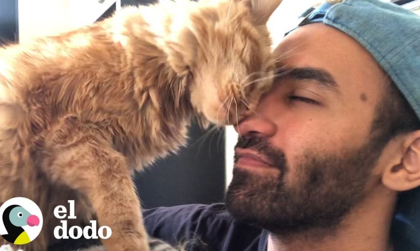 Gato y su papá tienen las conversaciones más tiernas I Almas Gemelas | El Dodo