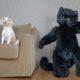 Giant Cat Rescues Dog from Mouse! Funny Dogs Maymo, Penny & Potpie