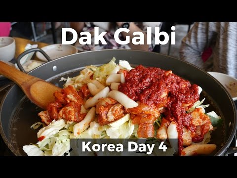 Giant Dak Galbi & Day Trip to Nami Island (Day 4)
