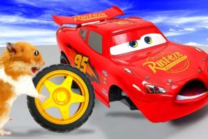 ? Hamster Rescues Lightning McQueen Car ? Cartoon Car by Life Of Pets Hamham #1