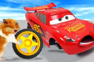 Hamster Rescues Lightning McQueen Car - Cartoon Pet Obstacle by Life Of Pets Hamham
