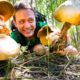 Head-Sized GIANT MUSHROOMS!! ?  Pick + Cook 3 Ways - LOCAL FOOD DELICACY!!