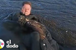 Hombre se sumerge en lodo para salvar a un águila bebé | El Dodo