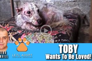 Hope Rescues Scared Puppy Toby From Chicken Coop - @Viktor Larkhill Extreme Rescue