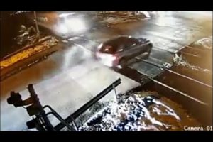 IDIOTS ON THE ROAD #8