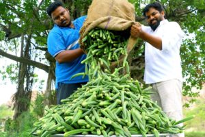 Kurkuri Bhindi Recipe-How to Make Crispy Okra-Okra Kurkuri | Nawabs