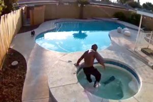 Man Rescues Puppy From Drowning In Backyard Pool