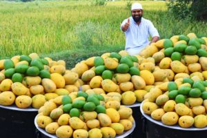Mango Frooti Recipe | Frooti Recipe | Organic Mangoes Frooti | Fresh Juice Of Mangoes | Nawabs