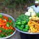 Mix Veg Recipe | Restaurant Style Mix Vegetable Sabzi | Mix Veg Curry by Nawabs kitchen