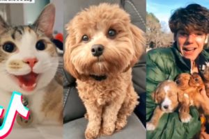 More of the Cutest Pets on Tiktok ?