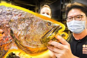 Most INSANE Street Food in Asia - The BIGGEST 10LB Fish Head STEAMED + Street Food of Ipoh, Malaysia