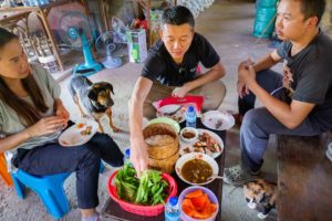 Mountain FOOD PARADISE!! ? Backyard Foraging + 2 Village Lunches! | Sakhon Nakhon, Thailand