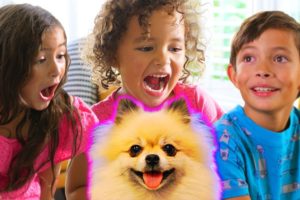 NEW PUPPY!  Kids react to The Cutest Puppy EVER!! By FAM JAM