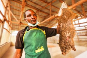 Nigeria’s Bushmeat Farms!! Eating Giant Rat with Miss Nigeria!!