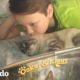 Niño le lee a su gatito rescatado para relajarlo | El Dodo