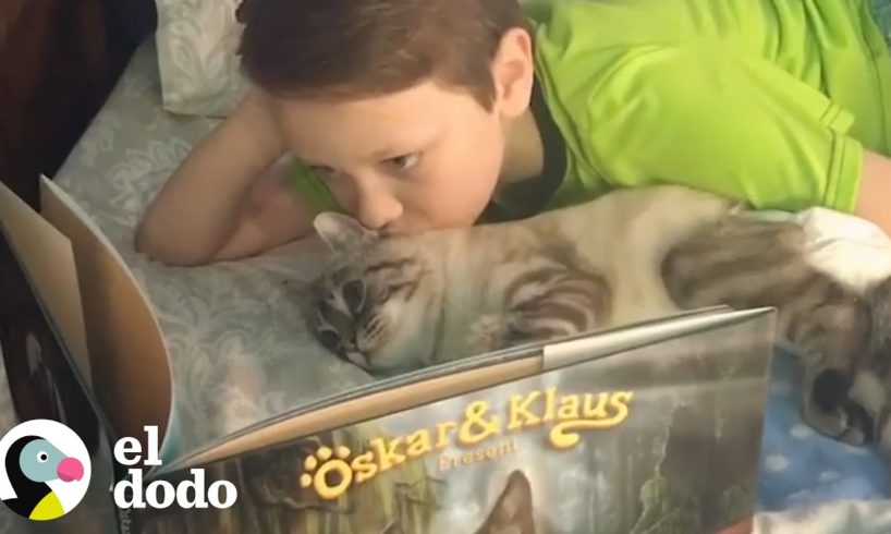 Niño le lee a su gatito rescatado para relajarlo | El Dodo