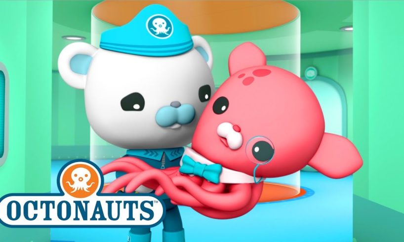 Octonauts - Close Encounters | Ocean Adventures | Cartoons for Kids | Underwater Sea Education