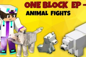 OneBlock Ep - 2 | Animal's Fights  | Minecraft in hindi | @Minecraft @Gaming