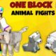 OneBlock Ep - 2 | Animal's Fights  | Minecraft in hindi | @Minecraft @Gaming