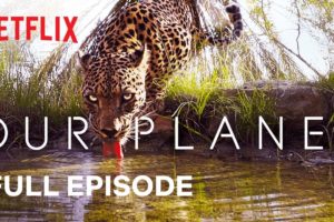 Our Planet | From Deserts to Grasslands | FULL EPISODE | Netflix