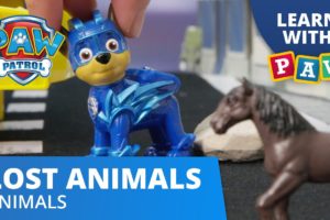 PAW Patrol Learn Animals & Sounds! - Rescue the Lost Animals - Learn with PAW Patrol