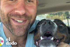 Papá de paso queda enamorado de el perro que decidió acoger | El Dodo