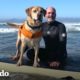 Perro surfista no puede controlar su emoción al llegar a la playa | El Dodo