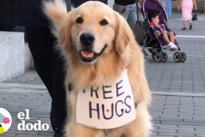 Perro viaja ofreciendo abrazos gratis I El Dodo