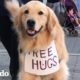 Perro viaja ofreciendo abrazos gratis I El Dodo