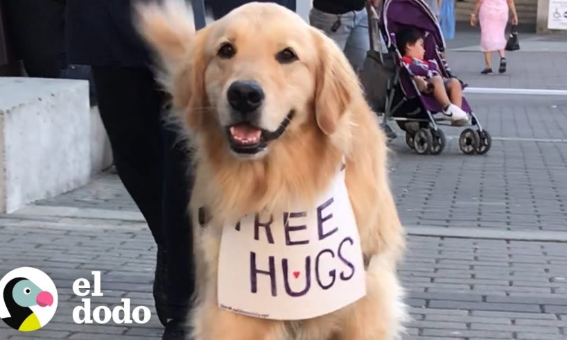 Perro viaja ofreciendo abrazos gratis I El Dodo