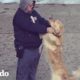 Perro y cartero tienen la relación más adorable | El Dodo