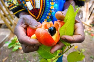 Rastafari Village Food ?? 100% ITAL FOOD + Jamaican Herb Tour ? with Rasta I-Win!