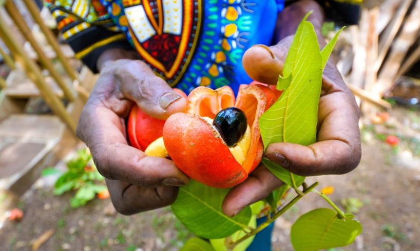 Rastafari Village Food ?? 100% ITAL FOOD + Jamaican Herb Tour ? with Rasta I-Win!