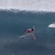 Surfing. KIRRA Point Fails,  Bails  & Carnage Compilation