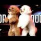 The Best Dog Auditions EVER On Got Talent From Around The World