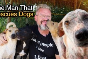 The Man That Rescues Dogs (Thailand's Soi Dogs)