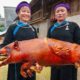 The SECRET FOODS of Vietnam's Tay Tribe!!! Rare Village Cooking!! | TRIBAL VIETNAM EP8