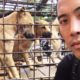This Guy Rescues Dogs From Torture And Slaughter In Asia