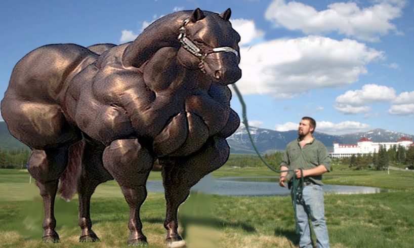 Top 10 Most Muscular Animals In The World - Askal