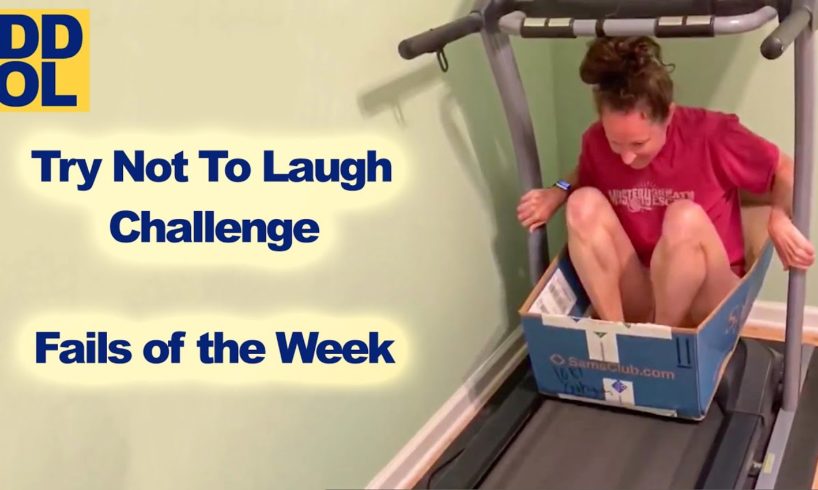Try Not to Laugh Challenge! Funny Fails 2021 #4 ? | Fails of the Week | Daily Dose of Laughter