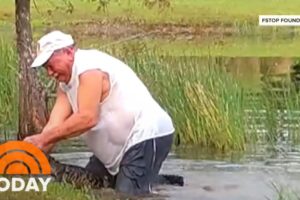 Video Shows Florida Man Rescuing His Puppy From Alligator Attack | TODAY