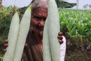 Village Style Snake Gourd Curry Recipe | My Grandma Style Curry | Country foods