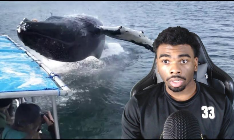 WHALE EATS BOAT! NEAR DEATH CAPTURED by GoPro and camera pt.95 [FailForceOne] REACTION