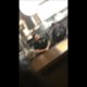 WSHH |KNOCKOUT| HOOD FIGHTS IN DENNYS kO