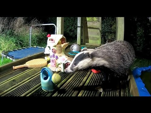 When Animals Come Out to Play | Adorable British Wildlife on this Children's Jungle Gym